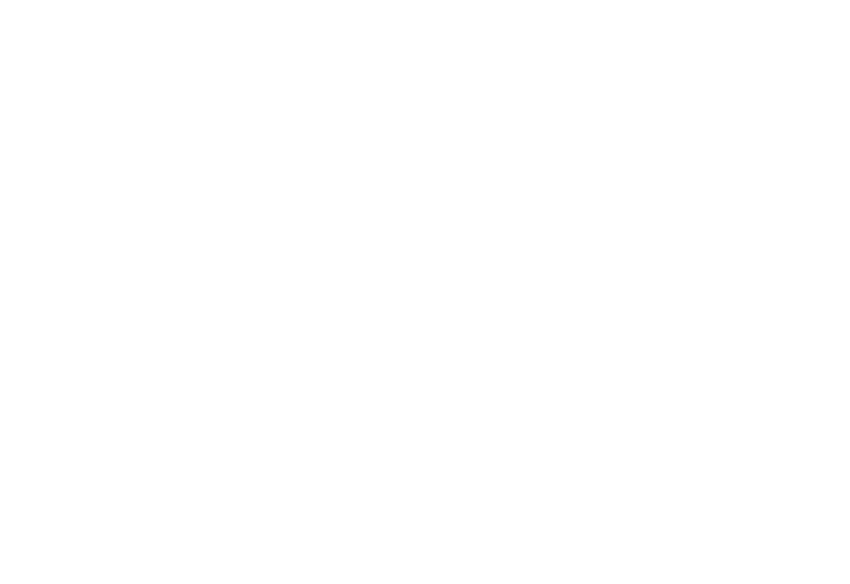 Footer Decorative Image